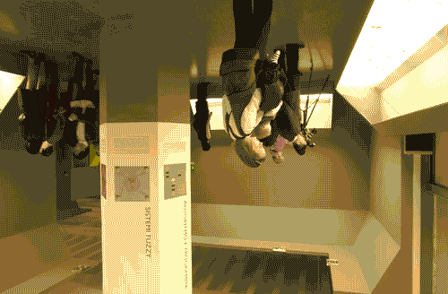 Image for XX Triennale - La memoria e il futuro - Cybugs - Inaugurazione