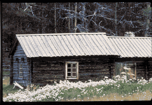 Image for Mostra su Tapio Wirkkala - Casa in legno