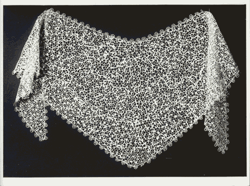 Image for VII Triennale - Mostra del pizzo antico - Scialle ad ago