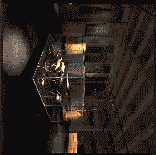 Image for Allestimento della mostra Tapio Wirkkala