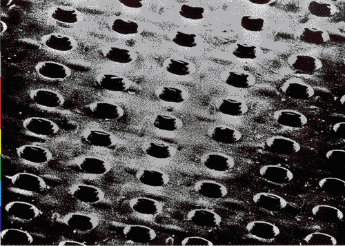 Image for XVIII Triennale - Mostre tematiche - La natura delle cose - Pezzi di ricambio - Membrana forata per la ricostruzione della pelle