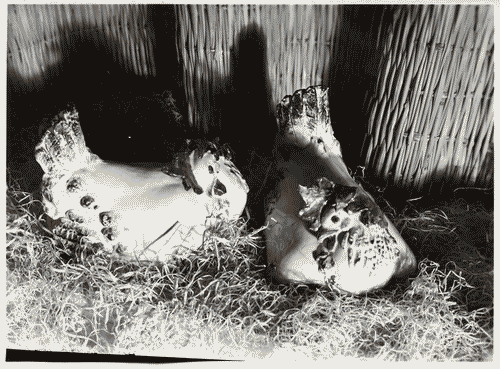 Image for Padiglione della mostra internazionale di ornitologia