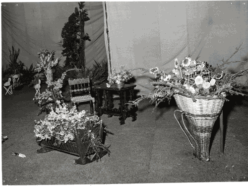 Image for X Triennale - Parco Sempione - Padiglione del fiore - Composizioni floreali