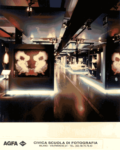 Image for XVIII Triennale - Mostre tematiche - Il giardino delle cose - Le qualità dell'esperienza