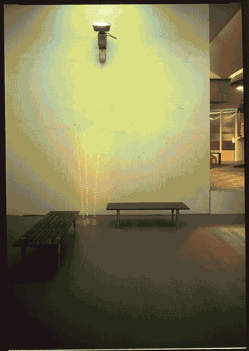 Image for Allestimento della mostra Le case della Triennale