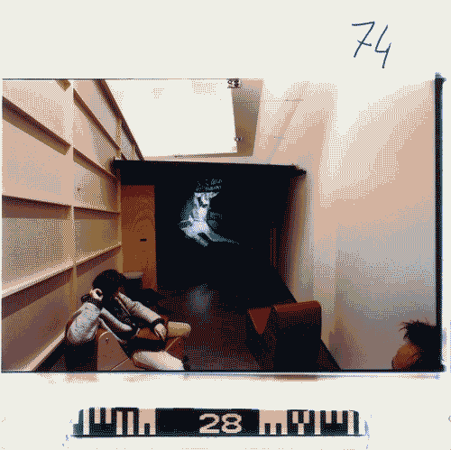 Image for Frederick Kiesler. Arte Architettura Ambiente - Allestimento della zona video