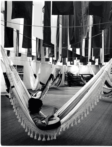 Image for Amache nella Sezione del Brasile