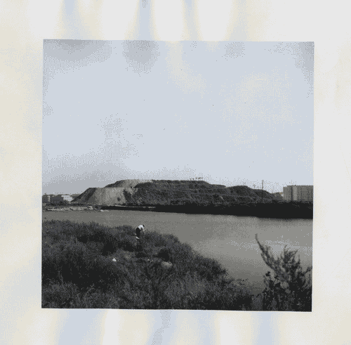 Image for IX Triennale - Quartiere sperimentale della Triennale di Milano (QT8) - La collina artificiale, Monte Stella