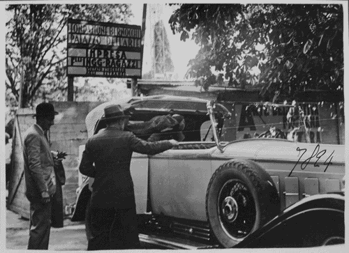 Image for Mazzuccato