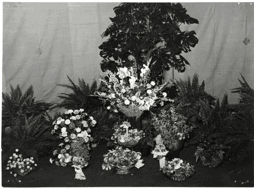 Image for X Triennale - Parco Sempione - Padiglione del fiore - Composizioni floreali