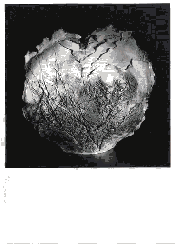 Image for Ceramiche dei concorsi di Faenza - Quarant'anni del premio Faenza 1938-1983 - Ceramica: "vaso III"