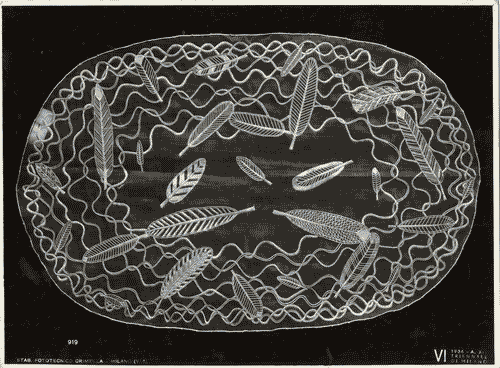 Image for VI Triennale - Sezione dell'E.N.A.P.I. - Merletti e ricami - Centro in organdis