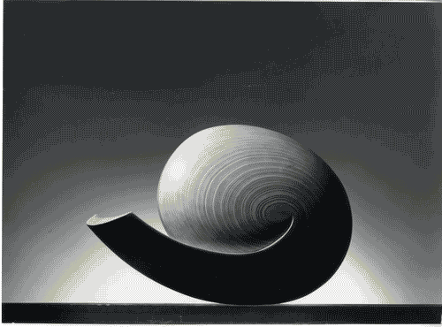 Image for Mostra su Tapio Wirkkala - Scultura chiocciola (etana) in betulla laminata