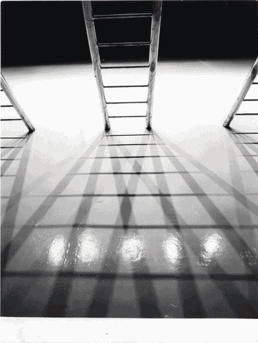 Image for XV Triennale - Gruppo giapponese - Le cinque scale