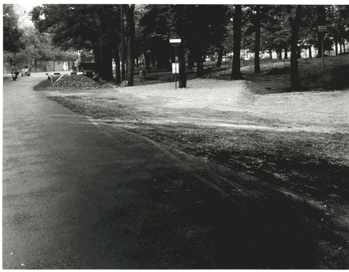 Image for X Triennale - Parco Sempione - Lavori di sistemazione