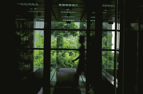 Image for XX Triennale - La memoria e il futuro - Mostra Jean Nouvel - Fondation Cartier pour l'art contemporain di Parigi (Fondazione Cartier per l'arte contemporanea)