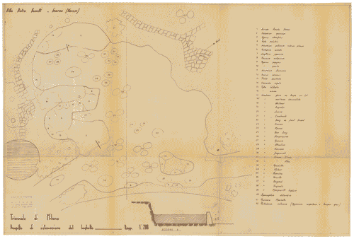 Image for Parco. Progetto di sistemazione del laghetto. Indicazione delle specie floreali
