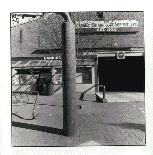 Image for XVII Triennale - Le città del mondo e il futuro delle metropoli - Partecipazioni internazionali - Sezione Canada - Granville Island street a Vancouver