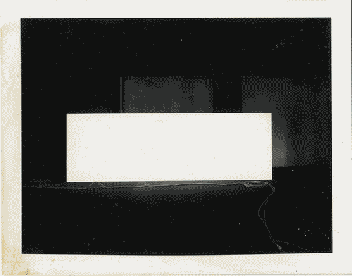 Image for XVI Triennale - Lavori di allestimento - Primo ciclo di mostre