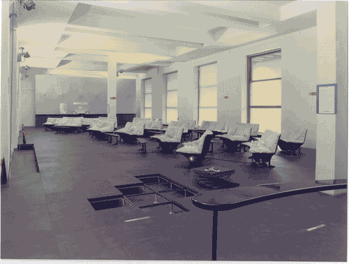 Image for Il progetto domestico - Fast food di Denis Santachiara