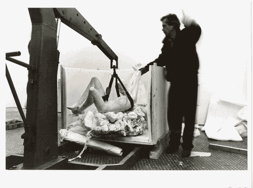 Image for Le ragioni della LIBERTÁ. a cinquant'anni dalla RESISTENZA