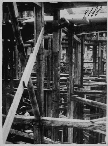 Image for Lavori di costruzione del Palazzo dell'Arte