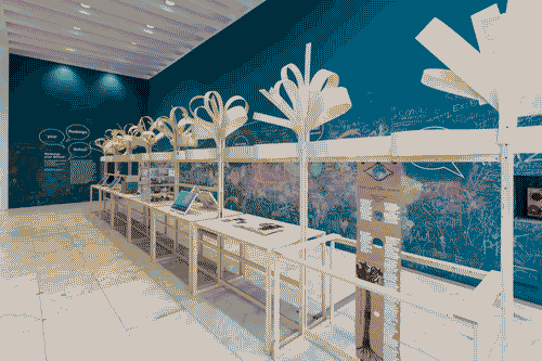 Image for Mostre Tematiche - Redesign Your school