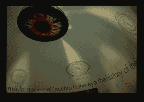 Image for XX Triennale - La memoria e il futuro - Gli occhiali presi sul serio