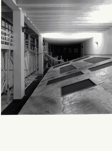 Image for Allestimento della Casa delle rondini