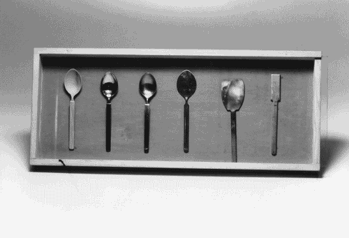 Image for Cucchiaio serie Dry (modello ligneo)