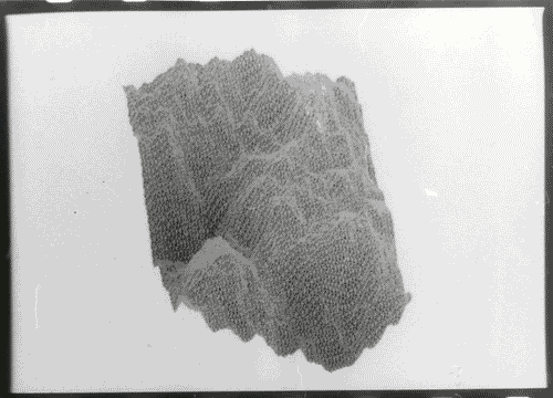 Image for XVII Triennale - Le città del mondo e il futuro delle metropoli - Sezione Statistica (la misura del quantificabile e la trascrizione dell'invisibile)