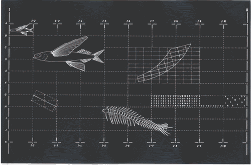 Image for XVIII Triennale - Partecipazioni internazionali - Stati Uniti d'America. The School of the Art Institute of Chicago - Kurt Andernach, "Il pesce volante", inchiostro su pellicola