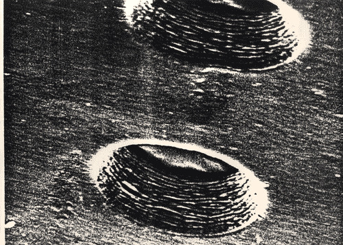 Image for XVIII Triennale - Mostre tematiche - La natura delle cose - Pezzi di ricambio - Membrana forata per la ricostruzione della pelle