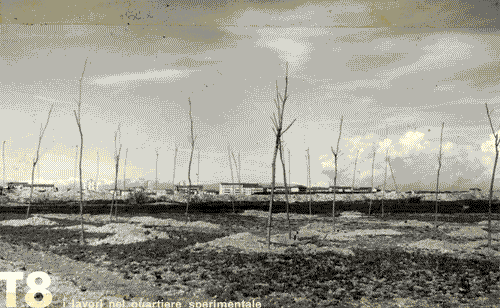 Image for VIII Triennale - Quartiere sperimentale della Triennale di Milano QT8