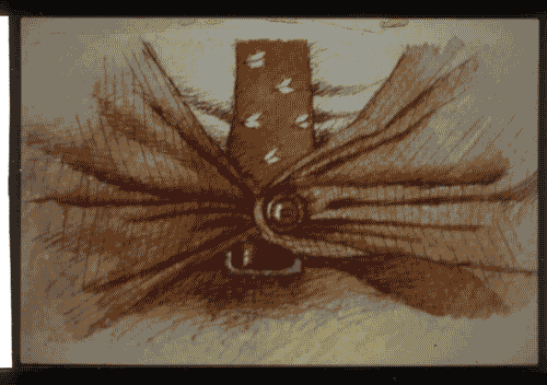 Image for XVI Triennale - Terzo ciclo - Lo spazio audiovisivo - Lo spazio scenografico della televisione italiana - Disegno