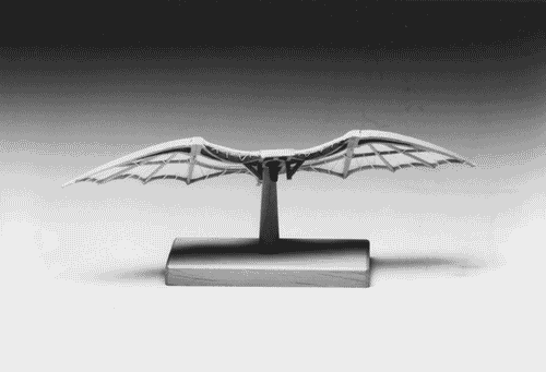 Image for Macchina di Leonardo - macchina per volare (modello ligneo)