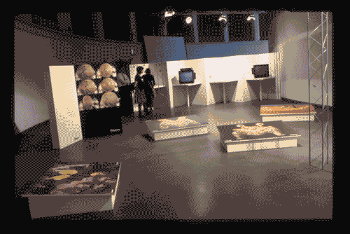 Image for Trattocontinuo. Merci linguaggi e tendenze dei giovani del 2000