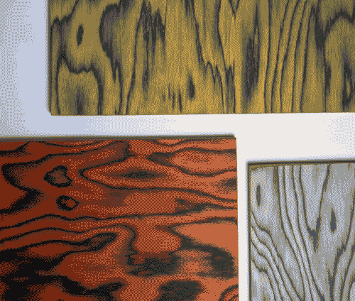 Image for Alpilignum-Sot