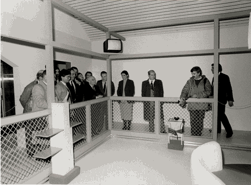 Image for Il progetto domestico - inaugurazione - Peggio, Eugenio - Fanfani, Amintore - Sermisoni, Silvana