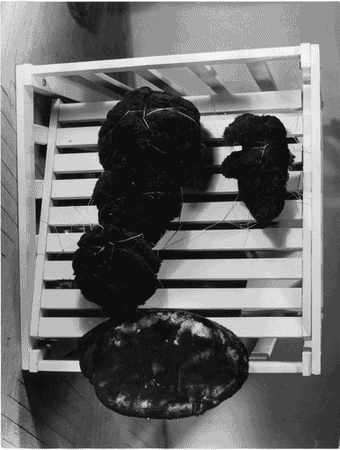 Image for XV Triennale - Romania - Composizione in legno, pelliccia e corda "Giochiamo ai Prometei", di Ana Lupas e Mircea Spataru