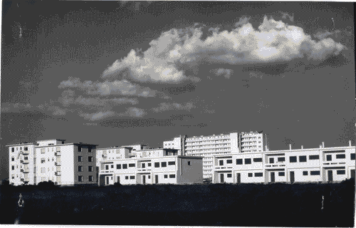 Image for IX Triennale - Quartiere sperimentale della Triennale di Milano (QT8)