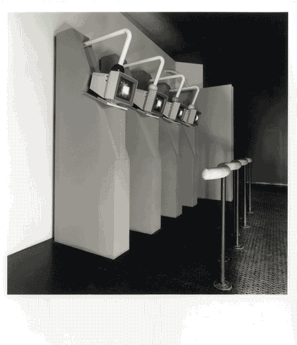 Image for Sezione della Statistica (la misura del quantificabile e la trascrizione dell'invisibile)