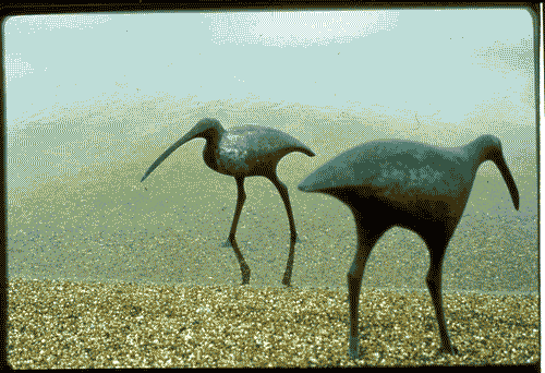 Image for Uccelli di bronzo fuso sulla spiaggia