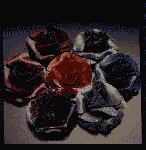 Image for Dalla Tartaruga all'Arcobaleno - Bijoux