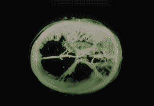 Image for Oltre il villaggio globale