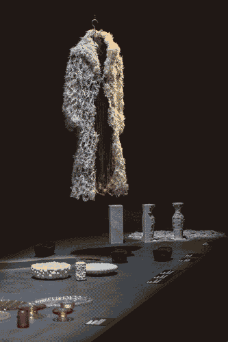 Image for Cappotto di merletto in piume di Janaïna Milheiro