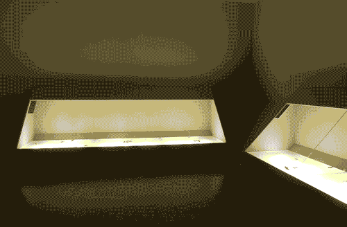 Image for XX Triennale - La memoria e il futuro - Cybugs