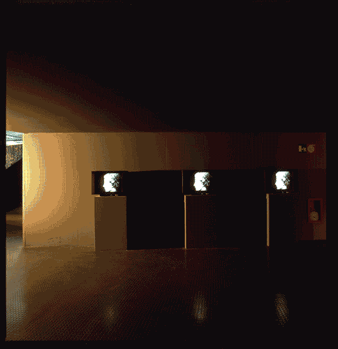 Image for XVII Triennale - Le città del mondo e il futuro delle metropoli - Oltre la città la metropoli - Sezione Paesaggio (la natura fra sito e artificio)