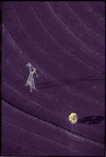 Image for XVIII Triennale - Palazzo dell'Arte - Mostra fotografica Una nuova rappresentazione della geografia. La prospettiva a volo d'uccello di Georg Gerster - Brasile, San Paolo, dintorni di Piracicaba