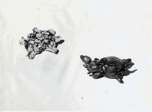 Image for VIII Triennale - Oggetti per la casa - Ceramiche